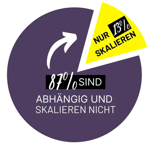 Nur 13 Prozent skalieren